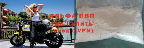 индика Белоозёрский