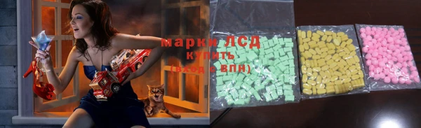 индика Белоозёрский