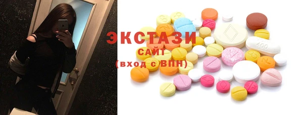гашик Ельня