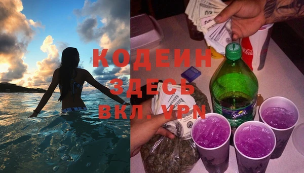индика Белоозёрский
