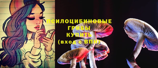 индика Белоозёрский