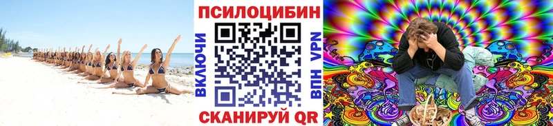 где купить   Пионерский  OMG   Галлюциногенные грибы ЛСД 