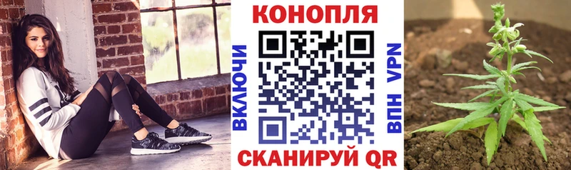 Каннабис AK-47 Пионерский
